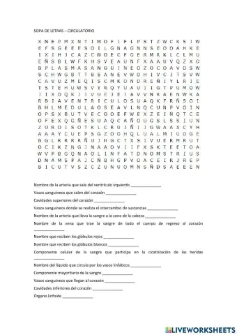 Sistema circulatorio