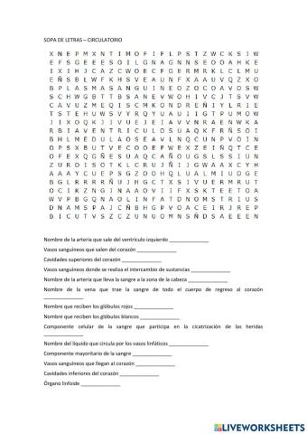 Sistema circulatorio