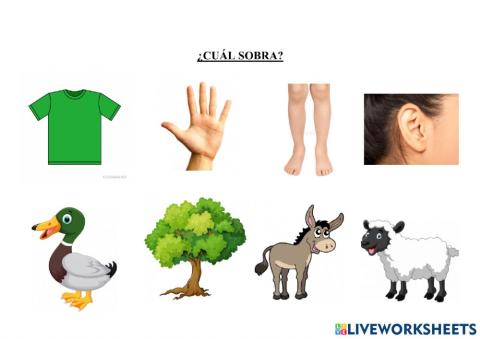 ¿cuál sobra?