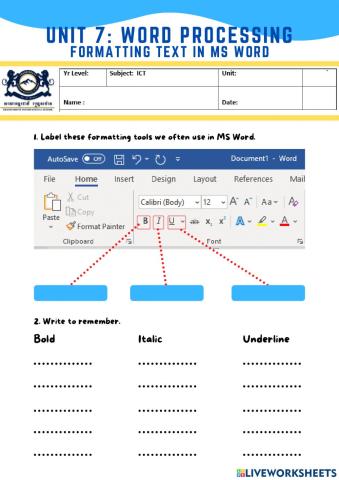 Formatting Text in MS Word