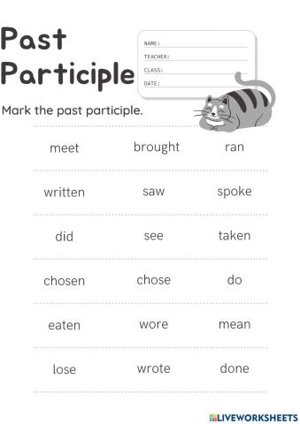 Past Participle1