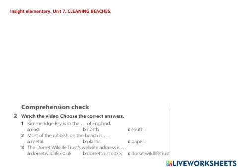 Insight Elementary. Cleaning beaches