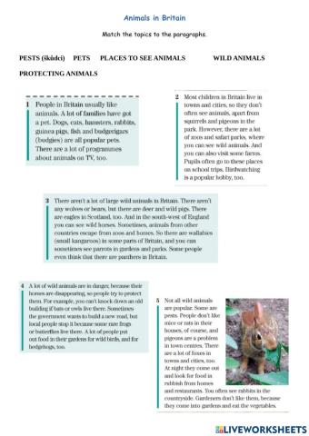 Animals in Britain