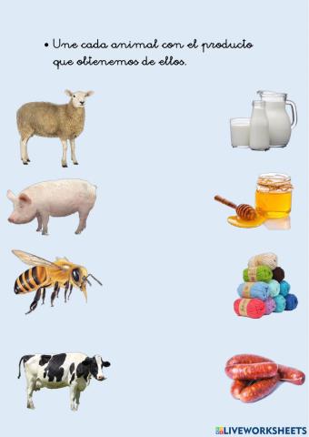 Productos que nos aportan algunos animales