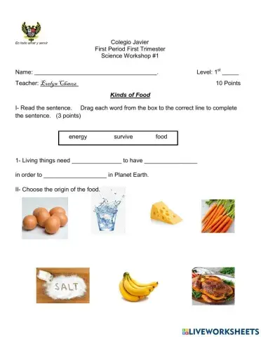 Kinds of Food Workshop 1