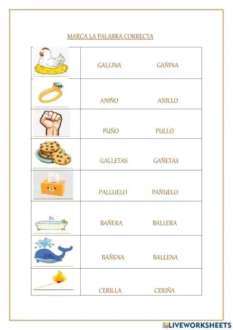 Palabras con ll y ñ