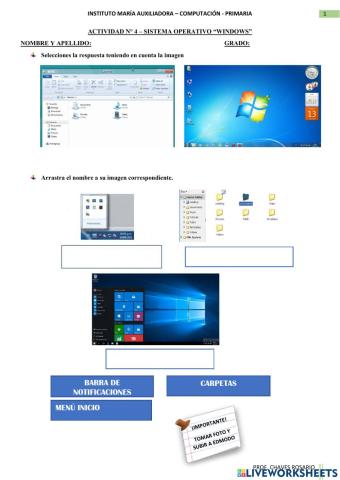 Sistema operativo Windows