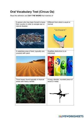 Oral Vocabulary Test (Circus Oz)