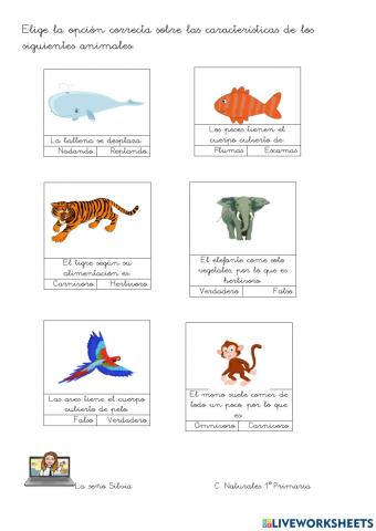 Características de los animales