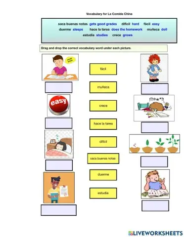 The Easy Life Vocabulary