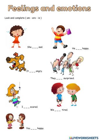 Feelings and Emotions