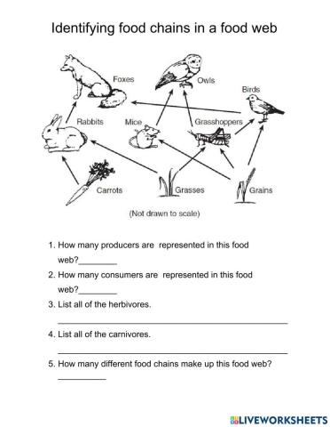 Identifying Feeding Relationships in a Food Web