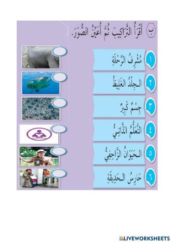 رحلة علمية إلى حديقة الحيوانات (التراكيب)