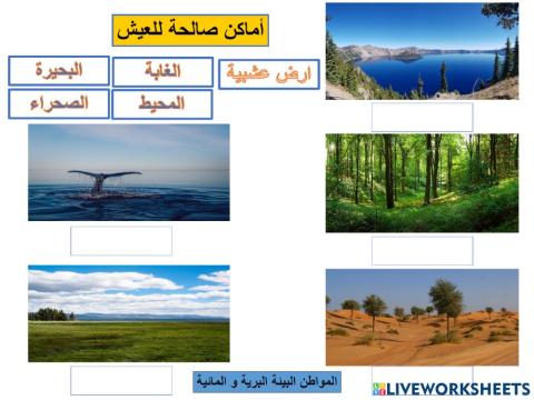 الموطن البيئية