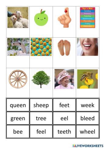 FM4 L2 long ee words