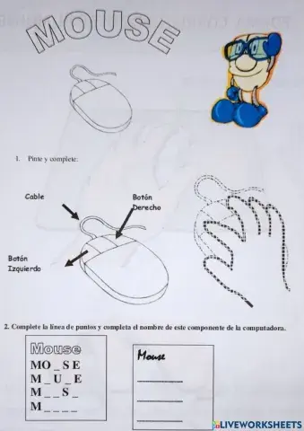 El mouse: partes y nombre