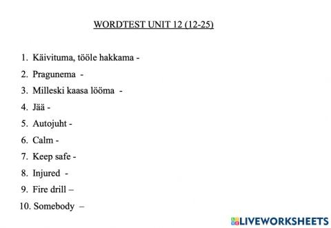 Wordtest Unit 12 (12-25)