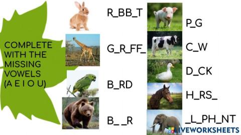 Animals missing letters