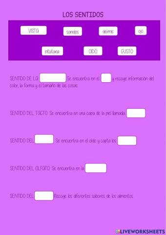 Los sentidos