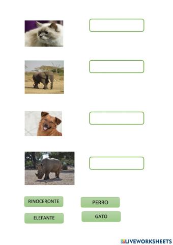 Asociación palabra-imagen