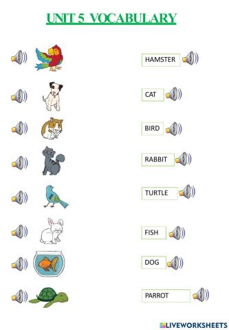 1º. Unit 5 vocabulary