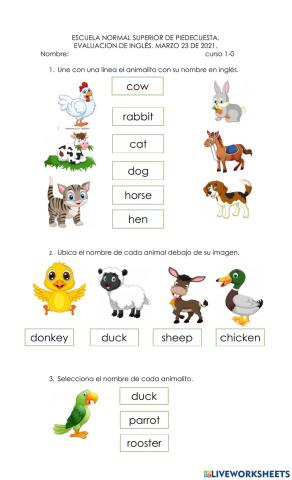 Evaluación de inglés