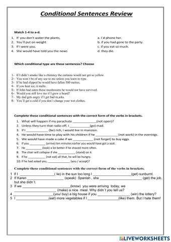 Conditional Sentences Review