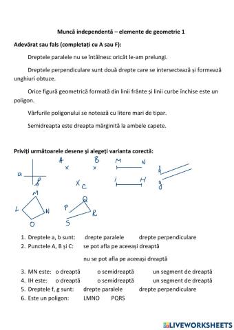 Dreapta semidreapta segment de dreapta