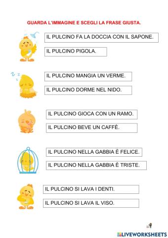 Lettura e comprensione