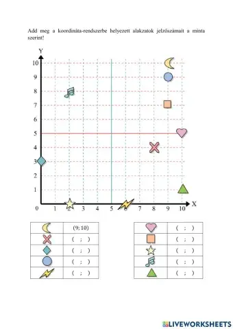 Koordináta rendszer