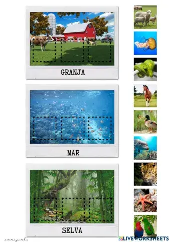 On viuen aquests animals? II