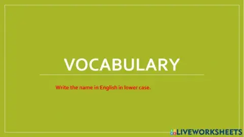 Vocabulary review