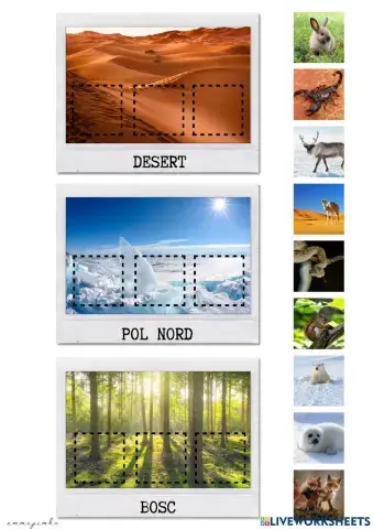 On viuen aquests animals? III