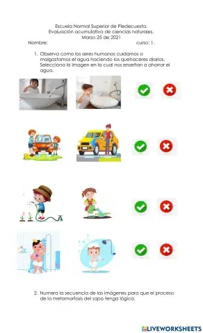 Evaluación de Ciencias