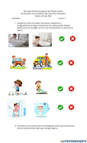 Evaluación de Ciencias