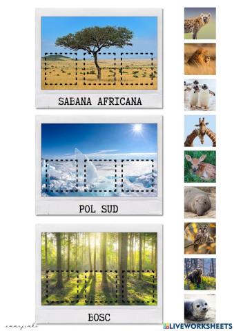 On viuen aquests animals? IV