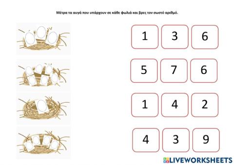 Αβγα και φωλιες