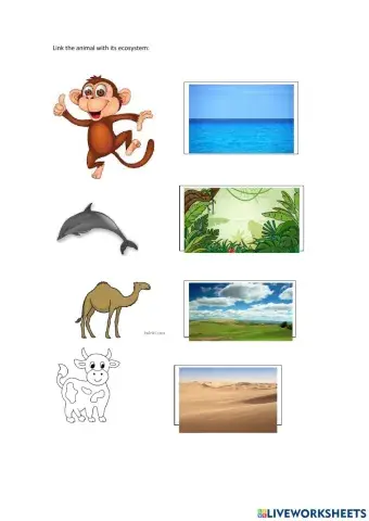 Link the animal with its ecosystem