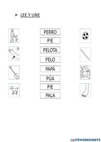 Lectura comprensiva palabras
