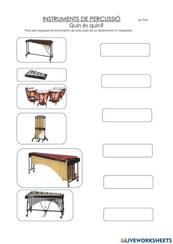 Instruments de percussió so determinat