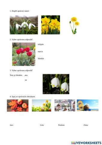 Prvouka 1. třída Jarní květiny, roční období
