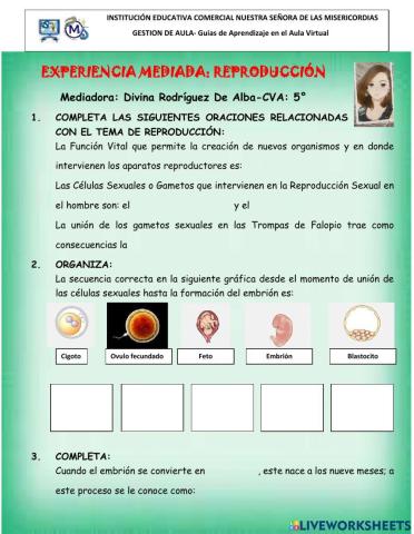 Reproducción humana