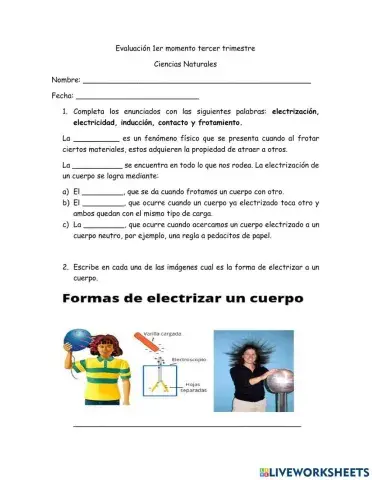 Evaluación Ciencias Naturales