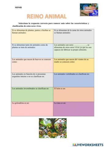 Ficha sobre el reino animal