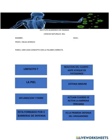 Sistema inmune ----------