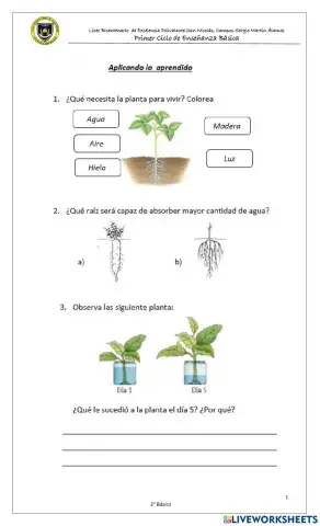 Función partes de la planta