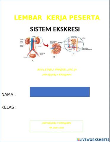 Latihan E-LKPD sistem ekskresi 1