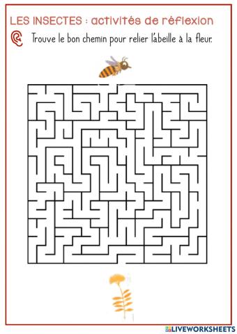 Les insectes : activités de réflexion