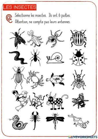 Les insectes
