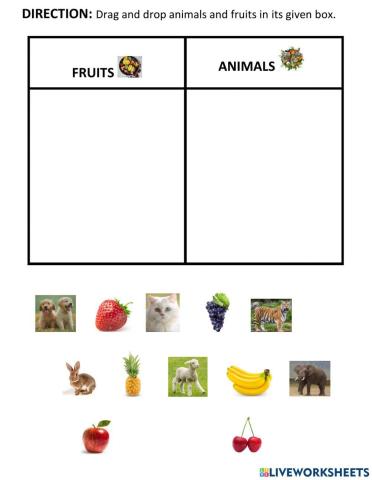 Fruits and Animals